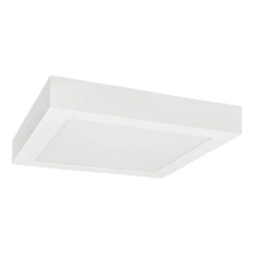 Plafonieră LED FENIX LED/18W/230V 3800K 22,5 cm alb zăpadă