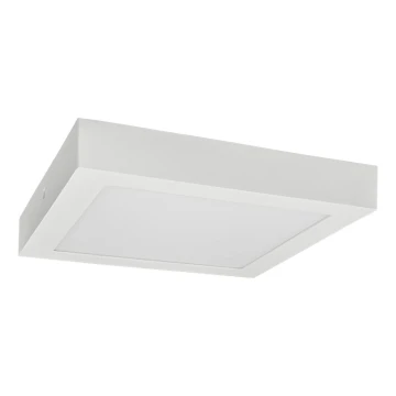 Plafonieră LED FENIX LED/24W/230V 3800K 29,8 cm