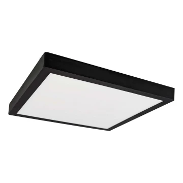 Plafonieră LED FENIX LED/24W/230V 3800K 29,8 cm