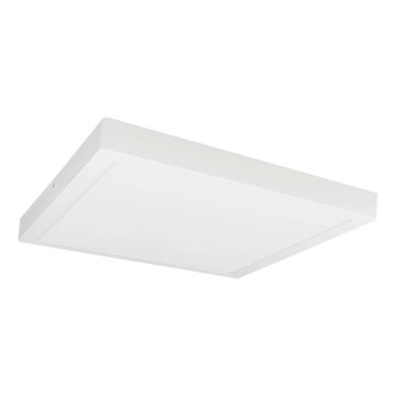 Plafonieră LED FENIX LED/32W/230V 3800K 40 cm alb zăpadă