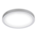 Plafonieră LED FIRE LED/24,5W/230V 4000K Briloner 7143-414