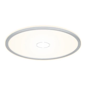 Plafonieră LED FREE LED/22W/230V d. 42 cm Briloner 3392-014