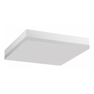 Plafonieră LED pentru baie LED/24W/230V 3000K 28 cm IP44