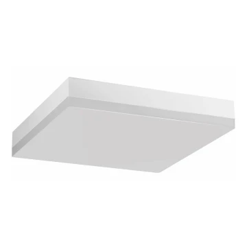 Plafonieră LED pentru baie LED/24W/230V 4000K 28 cm IP44