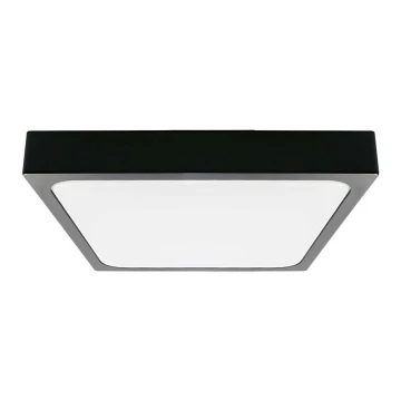 Plafonieră LED pentru baie LED/24W/230V 6500K IP44 neagră