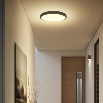 Plafonieră LED pentru baie LED/24W/230V IP44 6500K d. 29 cm negru