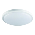 Plafonieră LED pentru baie ORTE LED/18W/230V IP54