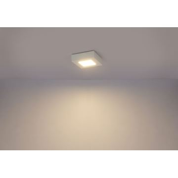 Plafonieră LED pentru baie SVENJA 1xLED/6W/230V Globo