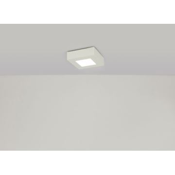 Plafonieră LED pentru baie SVENJA 1xLED/6W/230V Globo