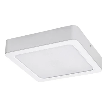 Plafonieră LED Rabalux LED/15W/230V 4000K 16x16 cm alb