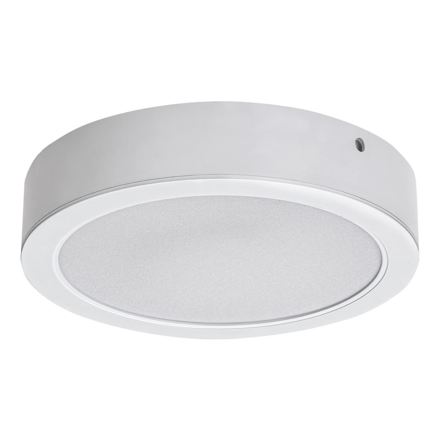 Plafonieră LED Rabalux LED/24W/230V 4000K d. 22 cm alb