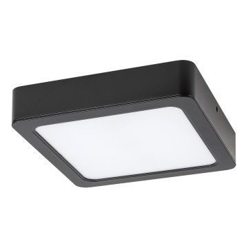 Plafonieră LED Rabalux LED/7W/230V 4000K 12x12 cm negru