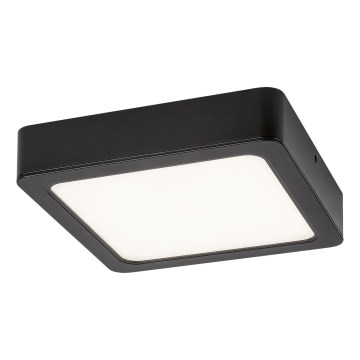 Plafonieră LED SHAUN LED/24W/230V 3000K 22x22 cm negru