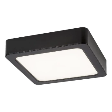 Plafonieră LED SHAUN LED/7W/230V 3000K 12x12 cm negru