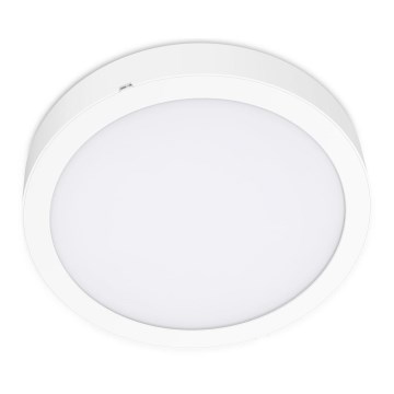 Plafonieră LED SIGARO CIRCLE LED/18W/230V 4000K IP40