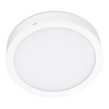 Plafonieră LED SIGARO CIRCLE LED/24W/230V 4000K IP40