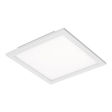 Plafonieră LED SIMPLE LED/12W/230V Briloner 7191-016