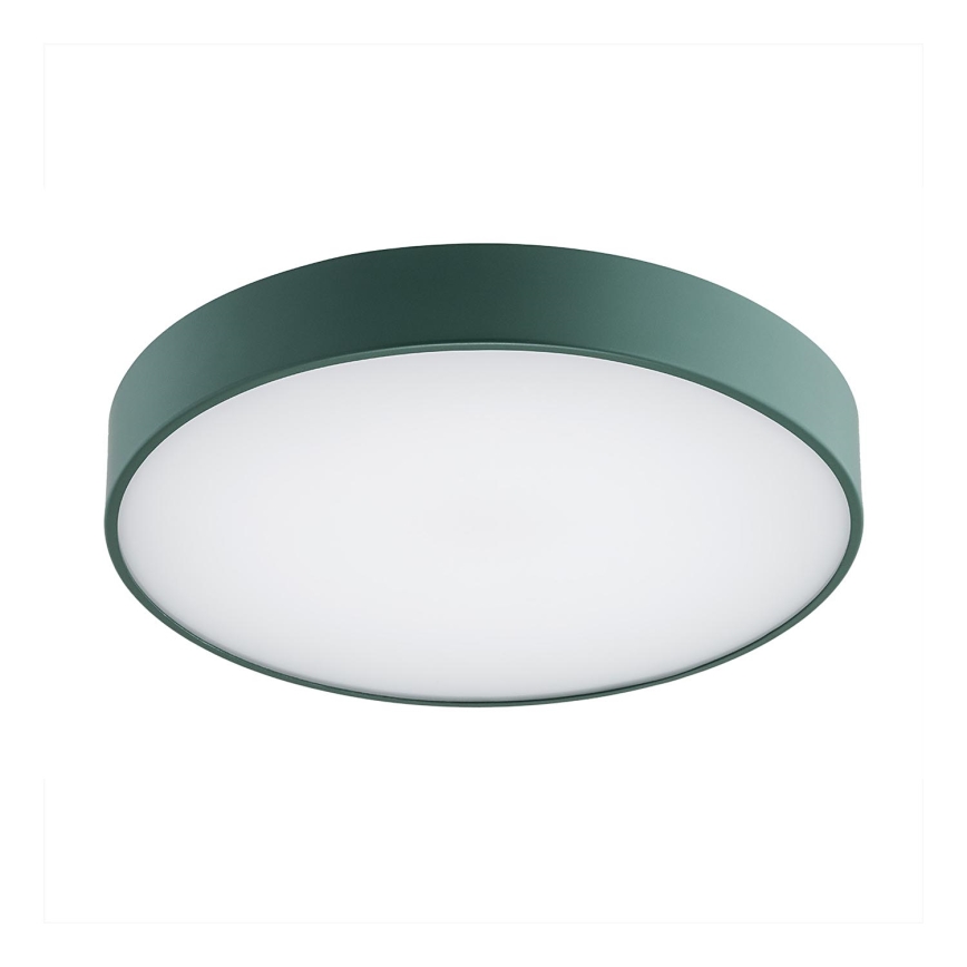 Plafonieră LED TIAMO LED/22W/230V 4000K verde Argon 8335