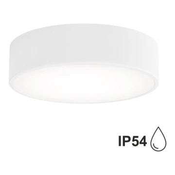 Plafonieră pentru baie CLARE 2xE27/24W/230V d. 30 cm alb IP54 Brilagi