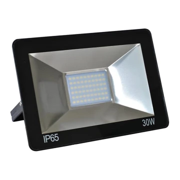 Proiector LED/30W/230V IP65