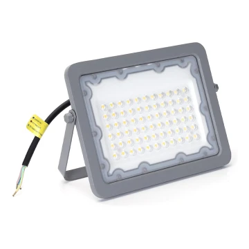 Proiector LED Aigostar LED/50W/230V gri 4000K IP65