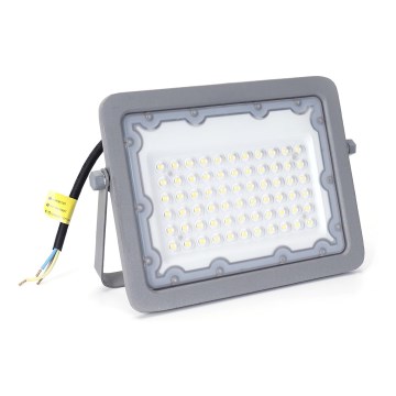 Proiector LED Aigostar LED/50W/230V gri 6500K IP65
