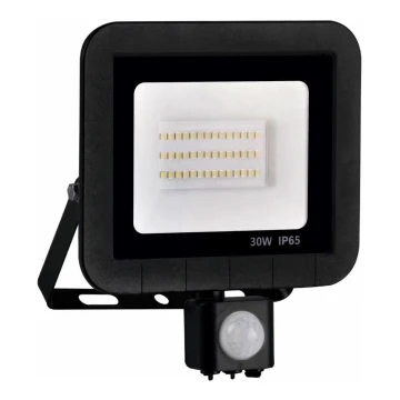 Proiector LED cu senzor LED/30W/230V