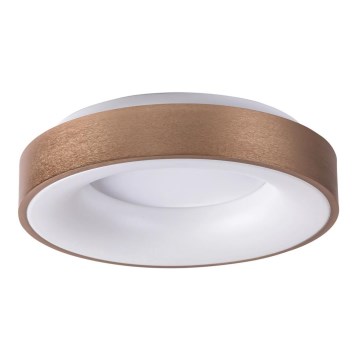 Rabalux 5052 - Plafonieră LED CARMELA LED/30W/230V