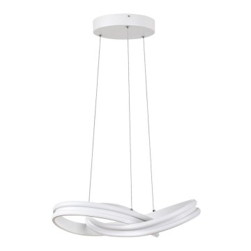 Rabalux - Lustră LED pe cablu LED/60W/230V