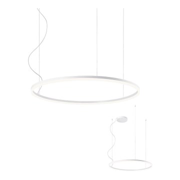 Redo 01-1712 - Lustră LED pe cablu ORBIT LED/55W/230V alb