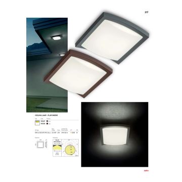 Redo 90007 - Plafonieră LED exterior TALLIN LED/21W/230V IP54 gri